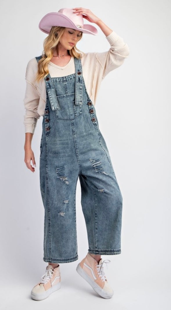 Easel denim overalls