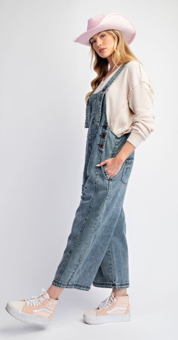 Easel denim overalls